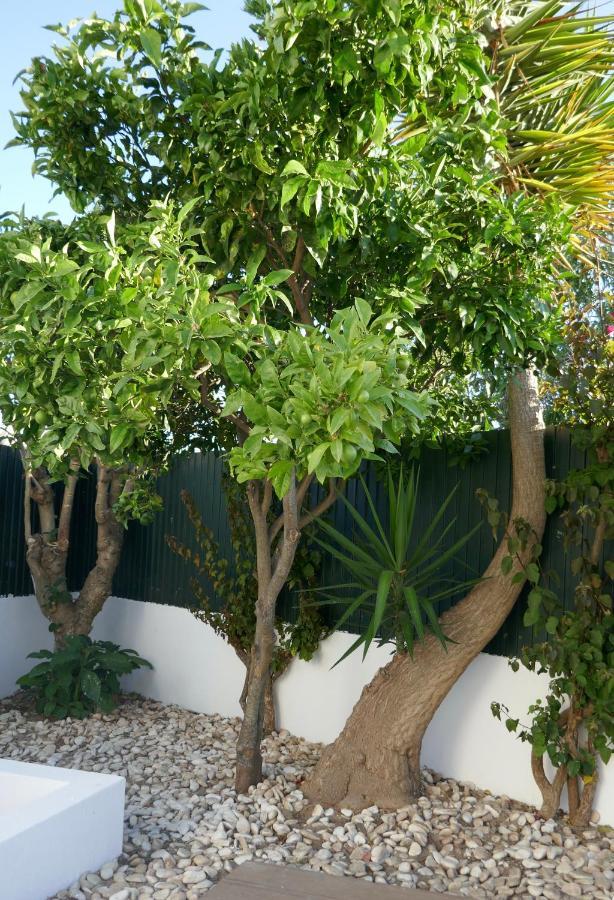 Villa A Sul Албуфейра Екстериор снимка